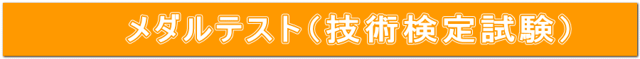 メダルテスト（技術検定試験）