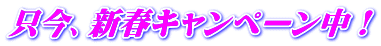 只今、新春キャンペーン中!